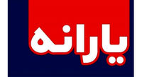 توضیحات رییس سازمان برنامه و بودجه درباره پرداخت یارانه نقدی
