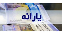 یارانه جدید سازمان برنامه چیست؟ / چه کسانی مشمول یارانه جدیداند؟