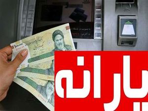 روش دریافت یارانه تشویقی / این یارانه برای کدام کالاها قابل استفاده است؟