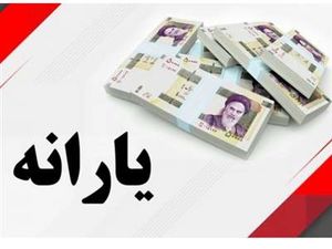 صفر تا 100 دریافت یارانه فجرانه