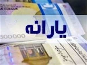 نگرانی مردم از واریز نشدن یارانه ها / وزیر خیال همه را راحت کرد