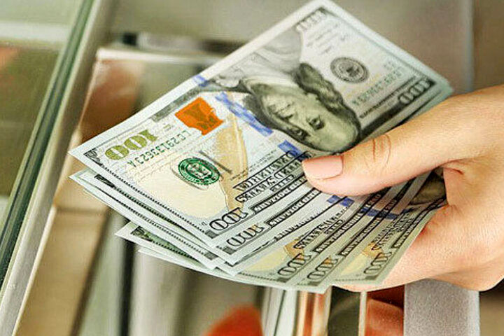 ارز دولتی/  حقایقی از سود ۱۳ میلیون تومانی در یک روز 