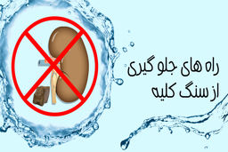 توصیه غذایی برای پیشگیری از سنگ کلیه